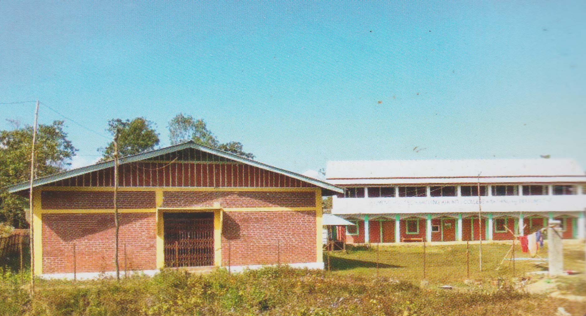 Slide Image